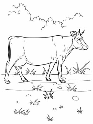 Desenhos De Vacas Para Colorir