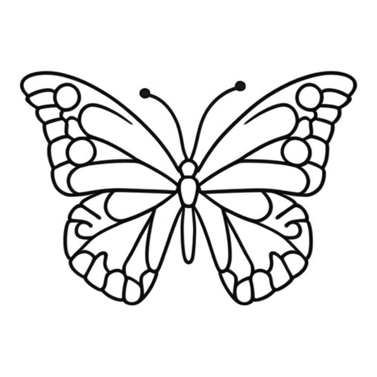 Desenho para colorir de borboleta Seda.