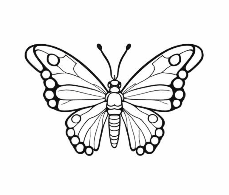 Desenho de borboleta Zebra, para ser colorida ou pintada.