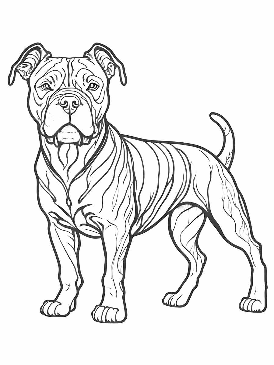 Cachorro para colorir staffordshire terrier