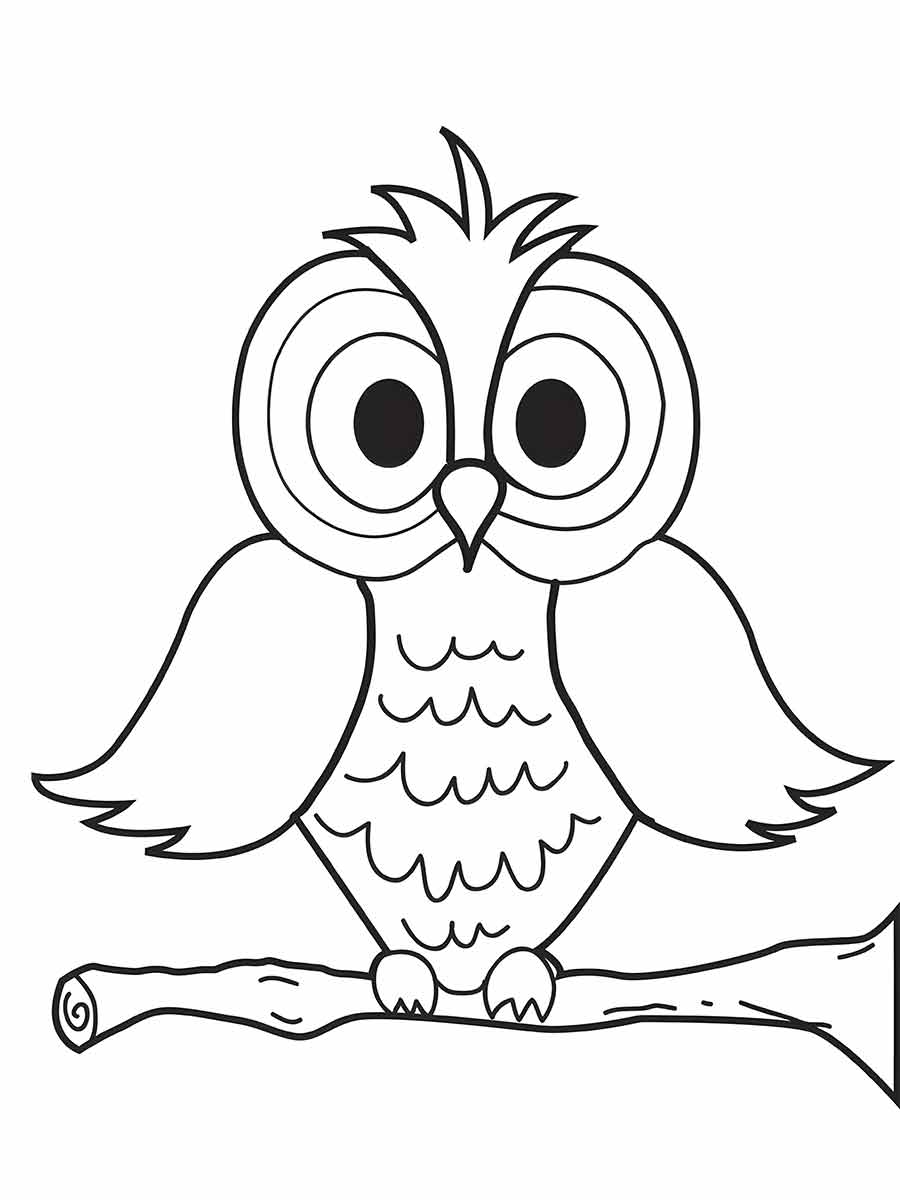 Cartoon Owl on Branch Coloring Page