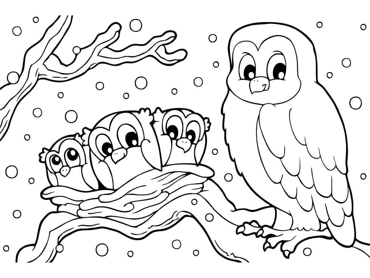 Family of Owls Coloring Page