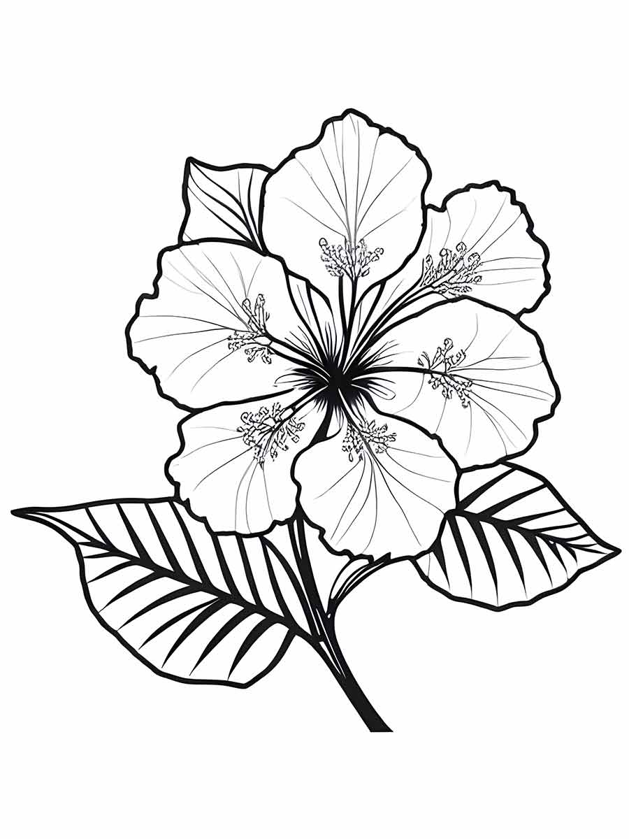 Desenho de flores para colorir para crianças página para colorir para  adultos