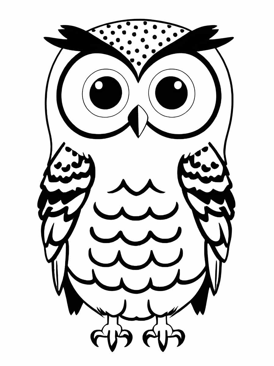 Owl Activity Page for Kids