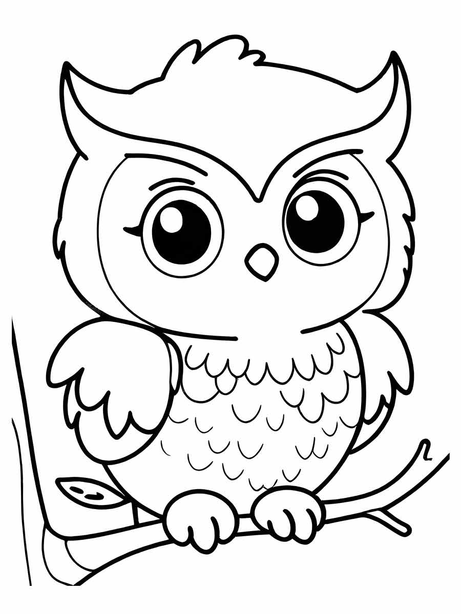 Owl Coloring Page to Paint