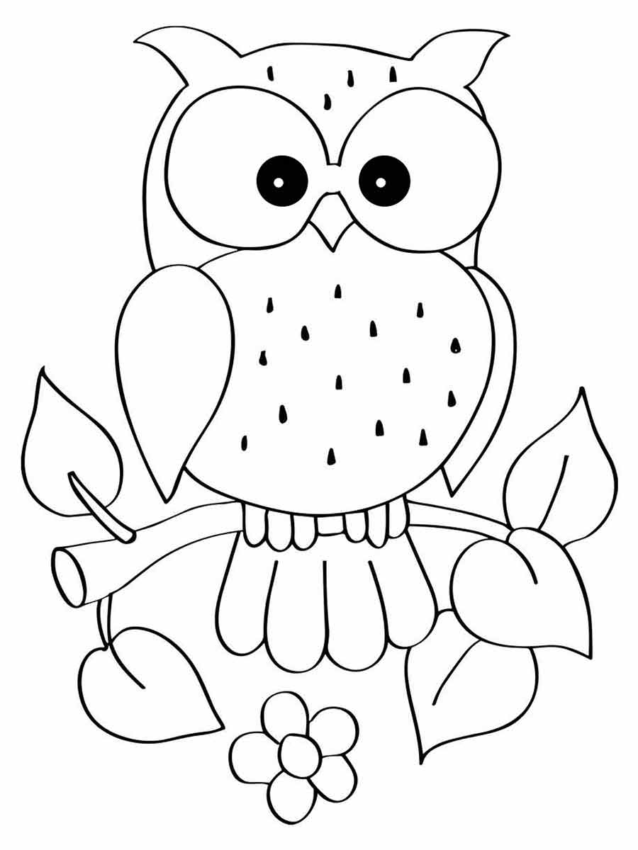 Owl on Branch with Flowers Coloring Page