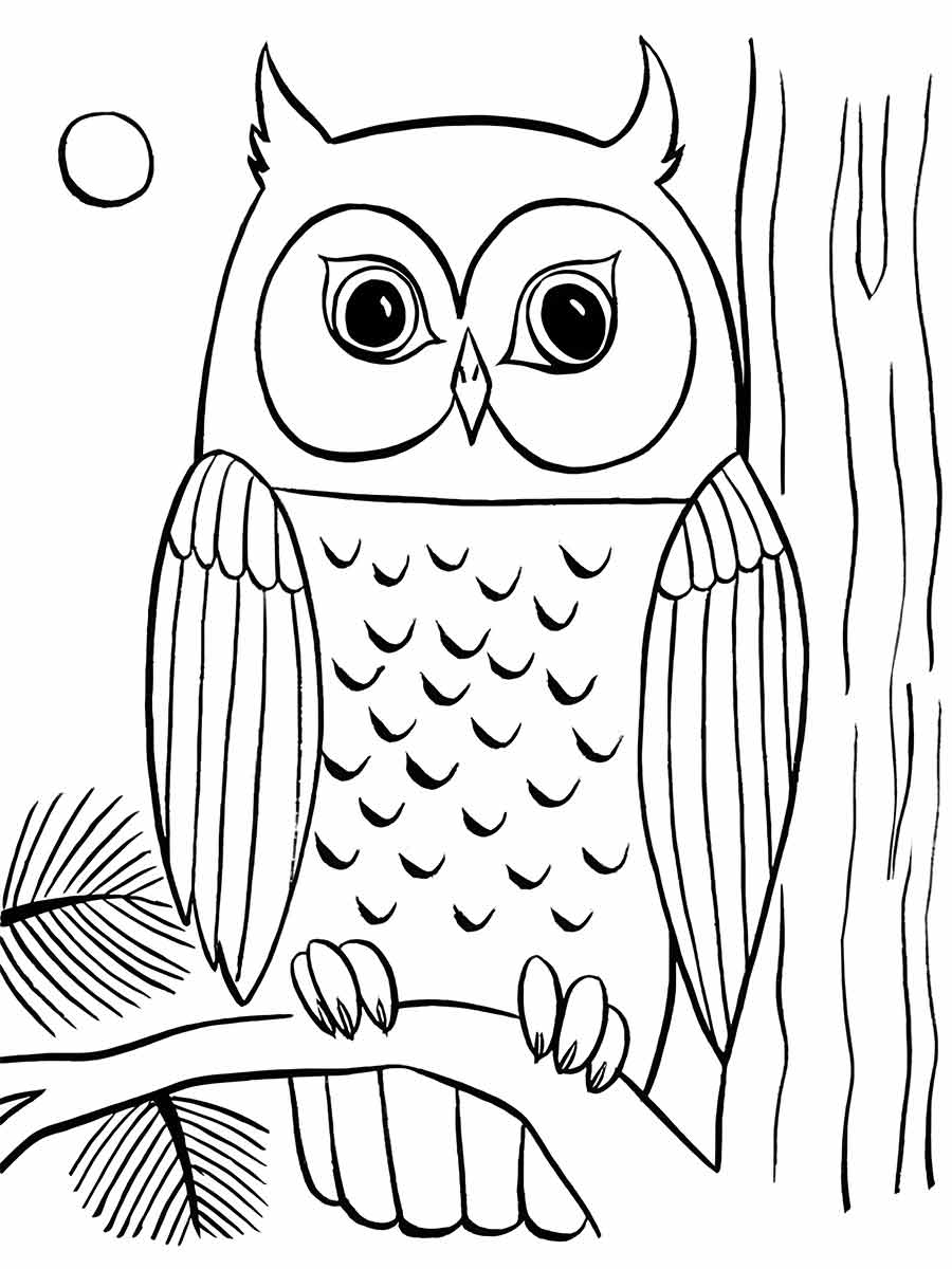 Owl on Branch with Moon Coloring Page