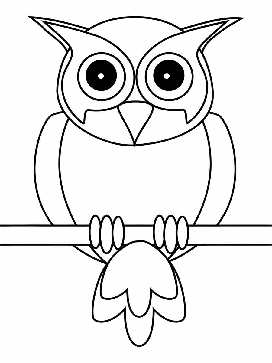 Owl on Simple Branch Coloring Page