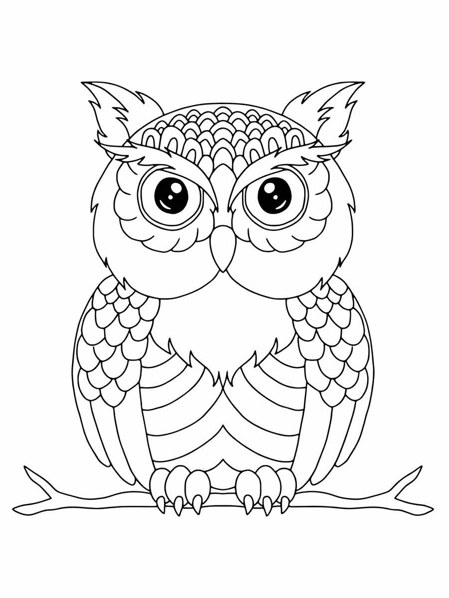 Owl Sitting on Branch Coloring Page