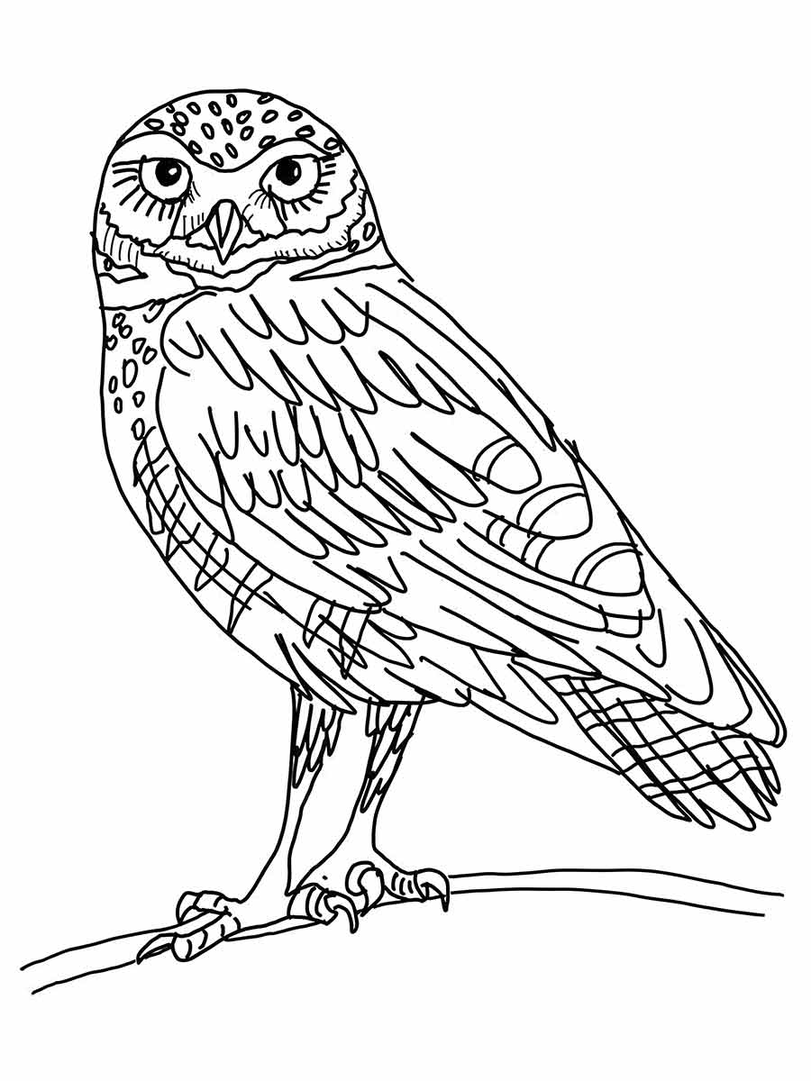 Owl with Intricate Feathers Coloring Page