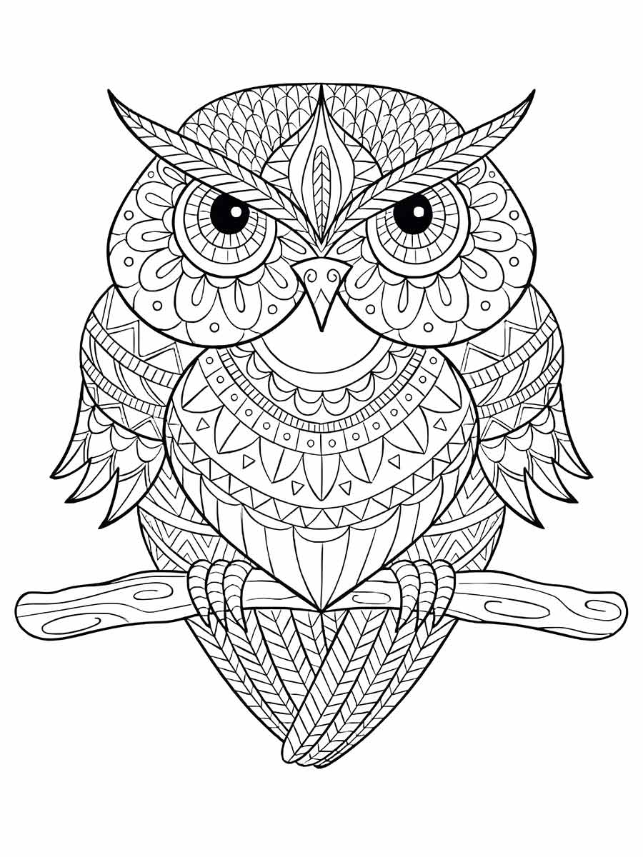 Owl with Intricate Patterns Coloring Page