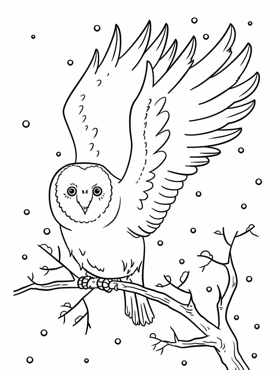 Owl with Open Wings and Dotted Background Coloring Page