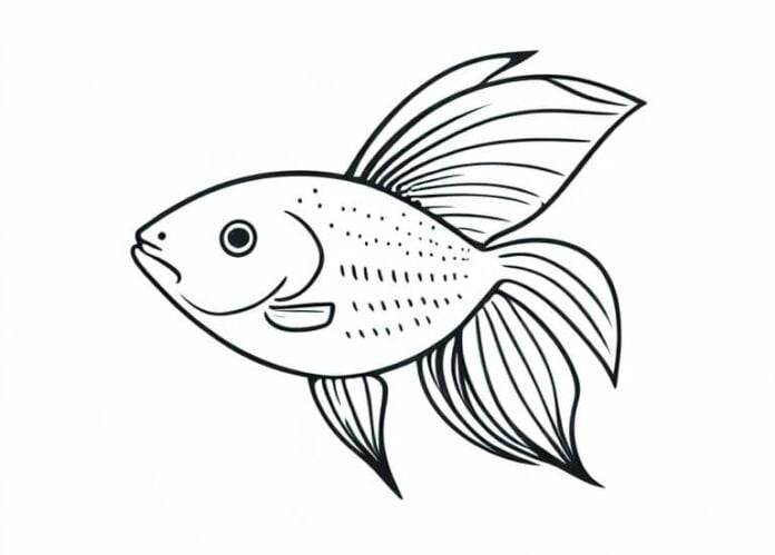 Desenhos De Peixes Para Colorir