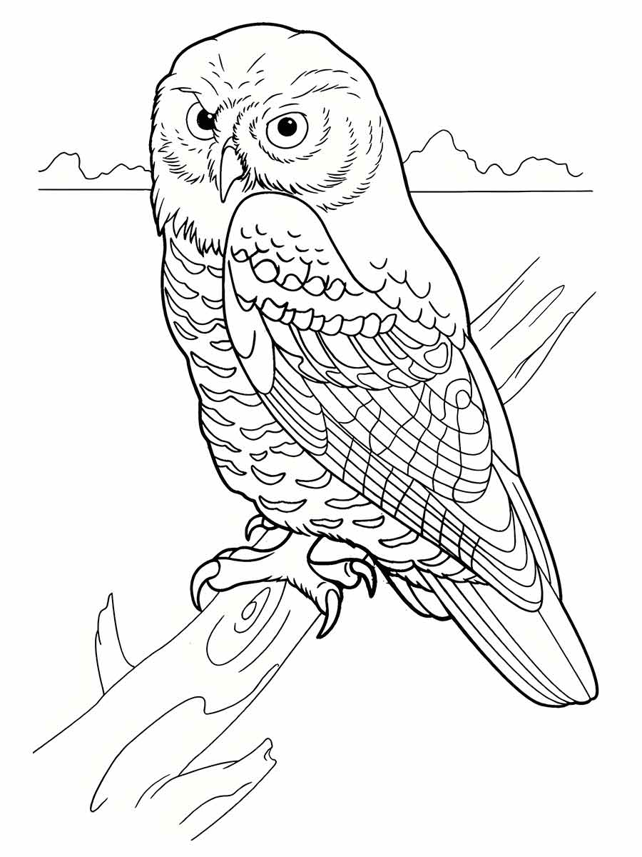 Printable Owl Coloring Page on Branch