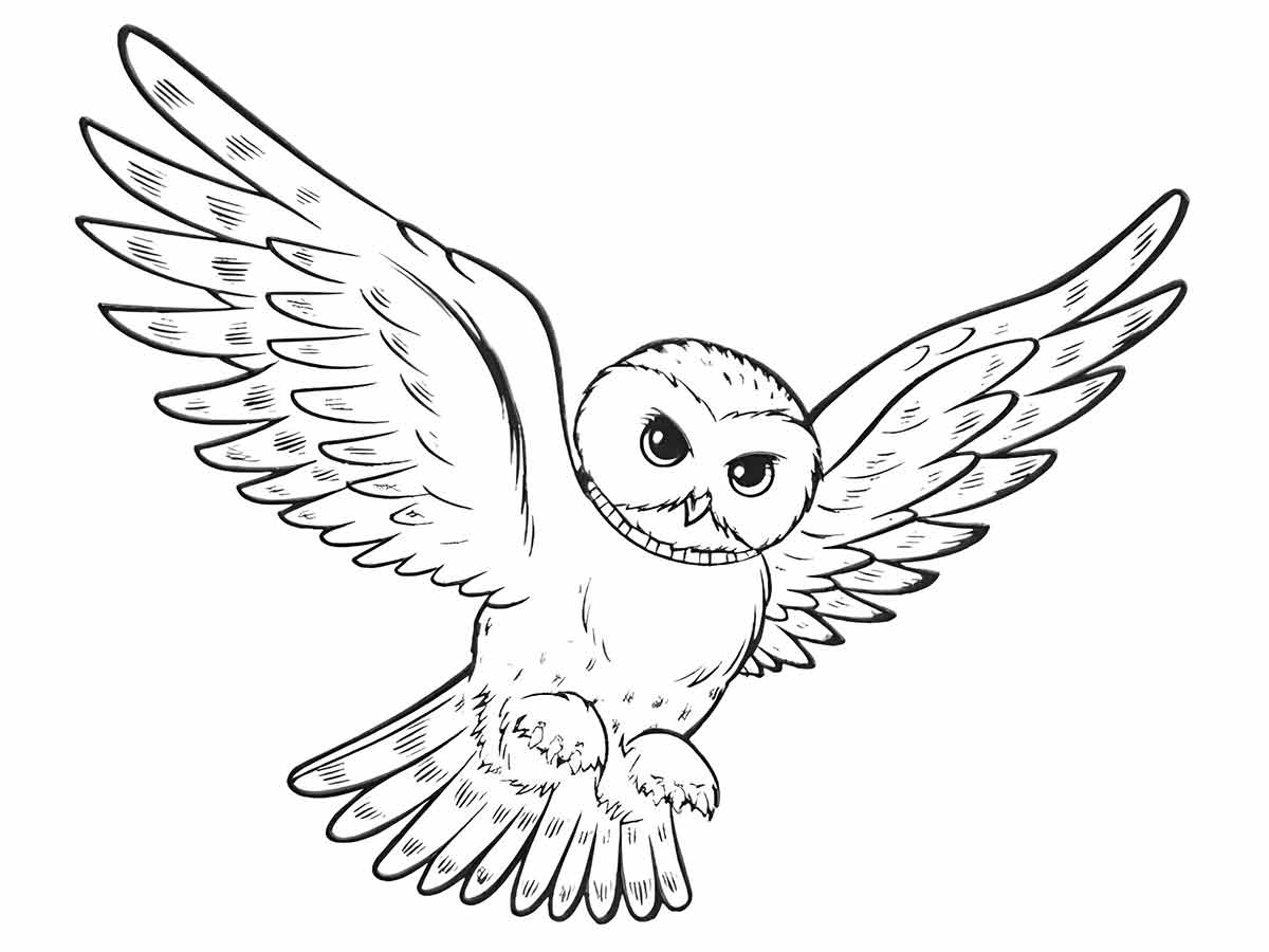 Realistic Owl in Flight Coloring Page