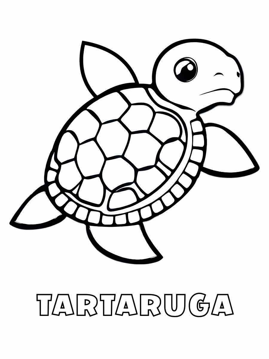 tartaruga para colorir 7