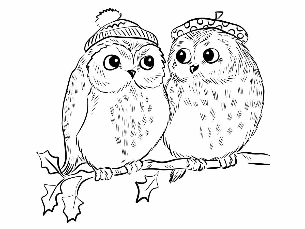 Two Owls with Hats on Branch Coloring Page