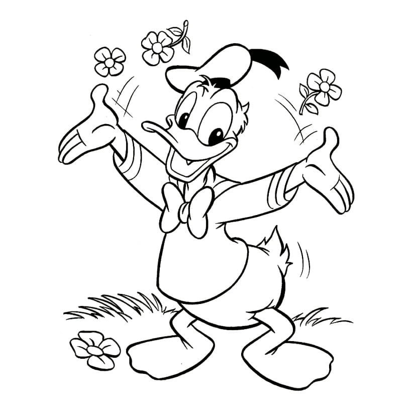 Desenhos para Imprimir Disney - Colorir o Donald - Desenhos para Imprimir