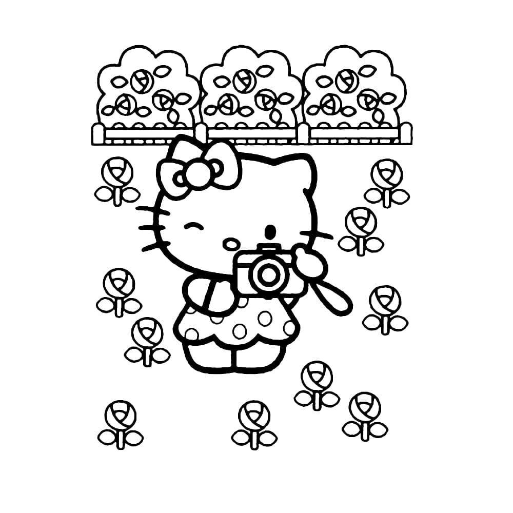 hello-kitty-taking-pictures-coloring-pages