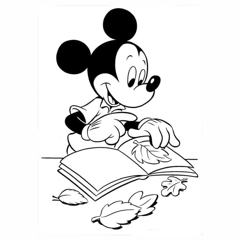 mickey para colorir 27