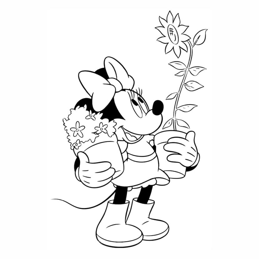 minnie para colorir com jarros de flores