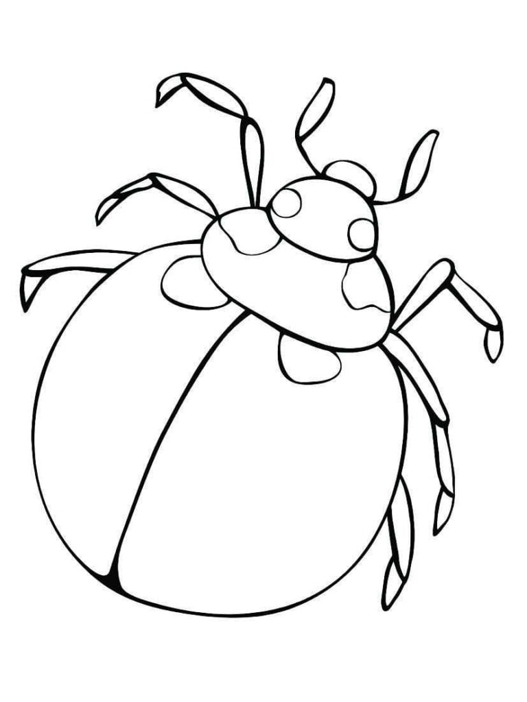 desenho lady bug 49 –  – Desenhos para Colorir