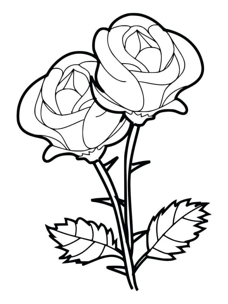 desenho de rosas para colorir e imprimir grátis