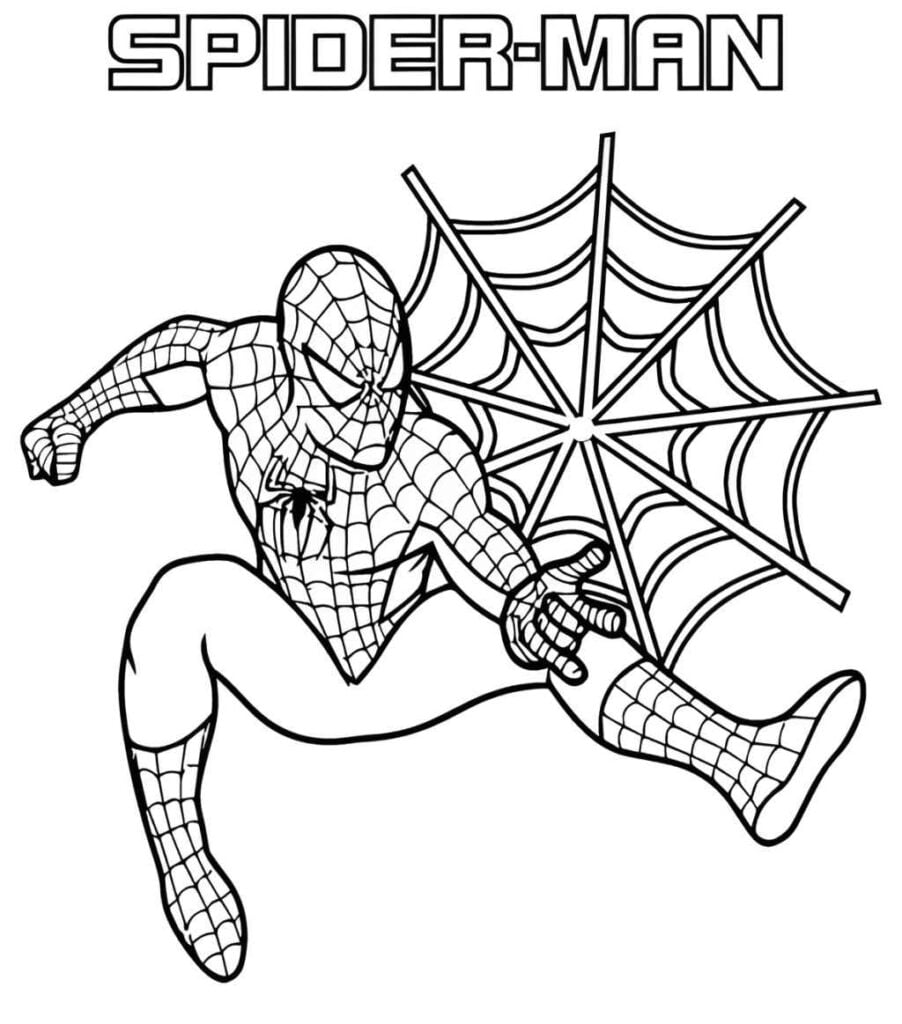 Homem Aranha para imprimir e colorir