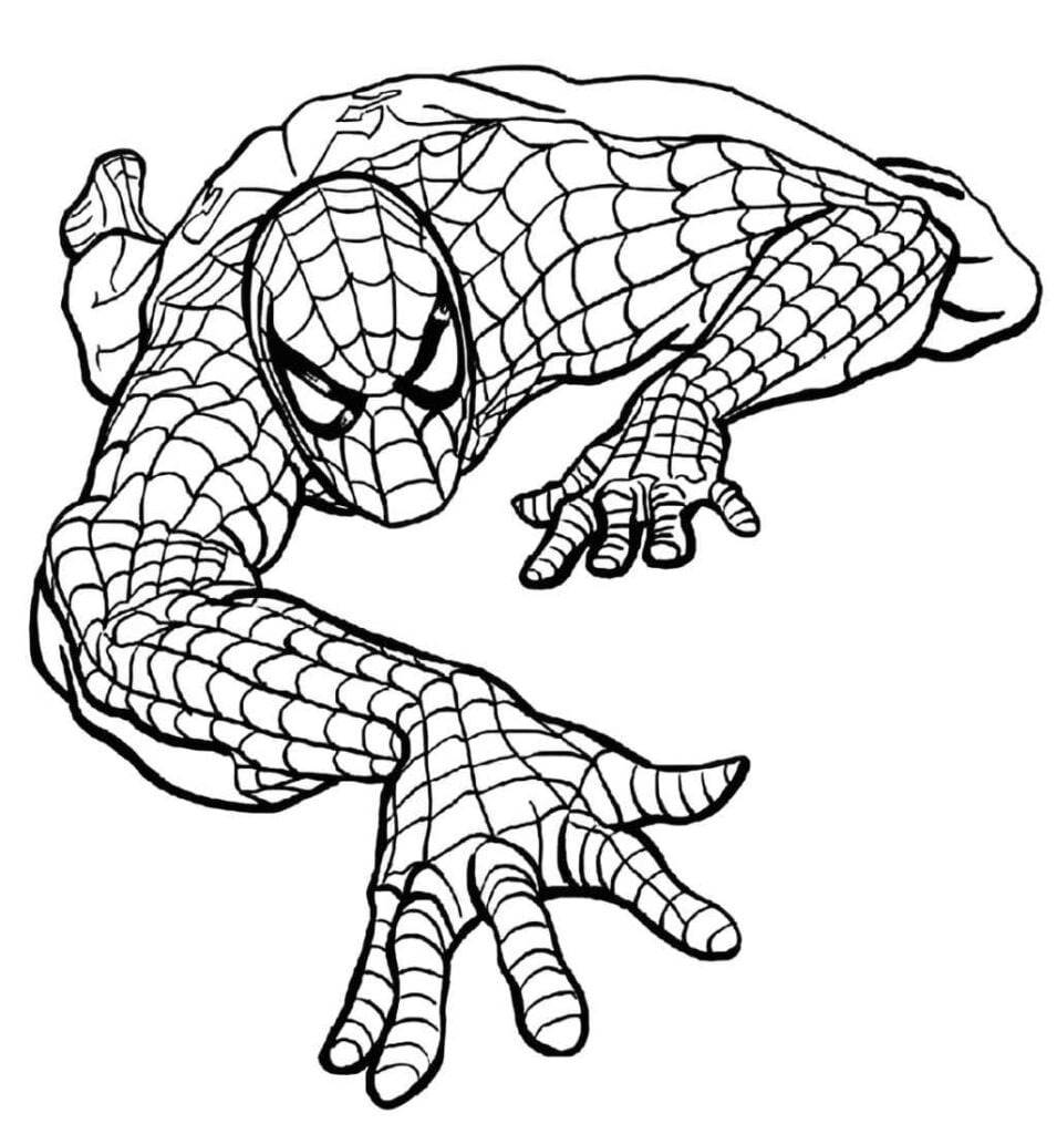 Desenhos Para Colorir De Homem Aranha - Coloring City  Superhero coloring  pages, Spiderman coloring, Kids printable coloring pages