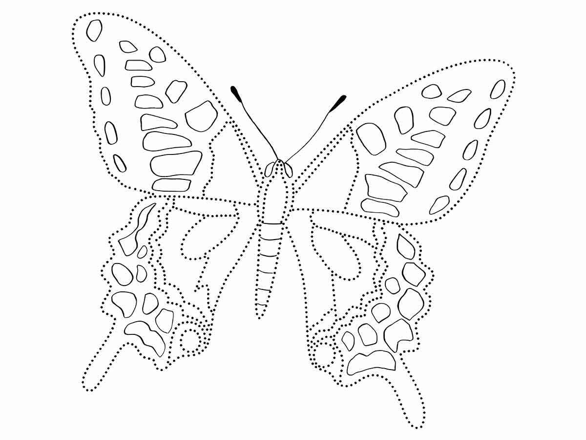 Desenho Educativo de borboletas para pintar