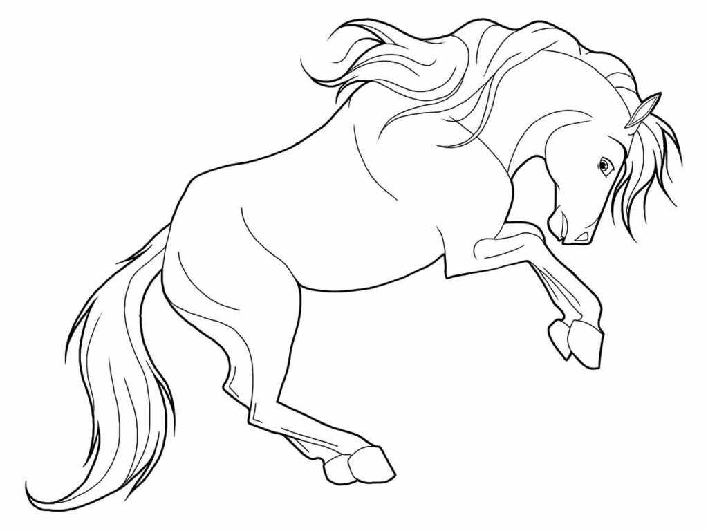 cavalo para colorir fácil