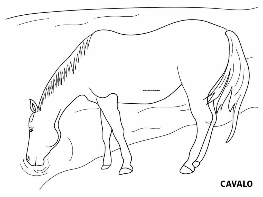 desenho de cavalo bebendo agua para colorir