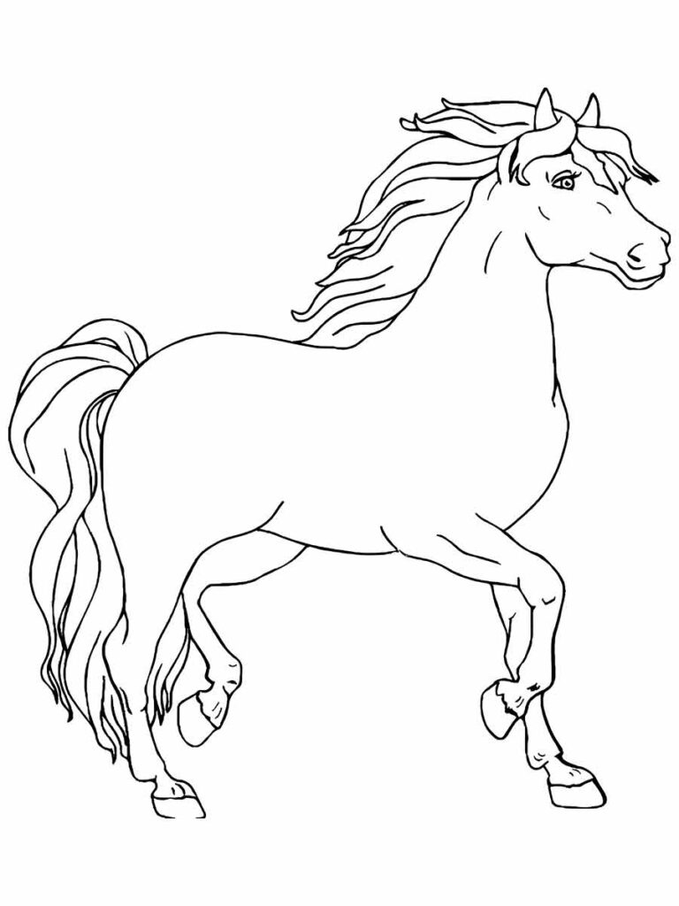 imagem cavalo para colorir