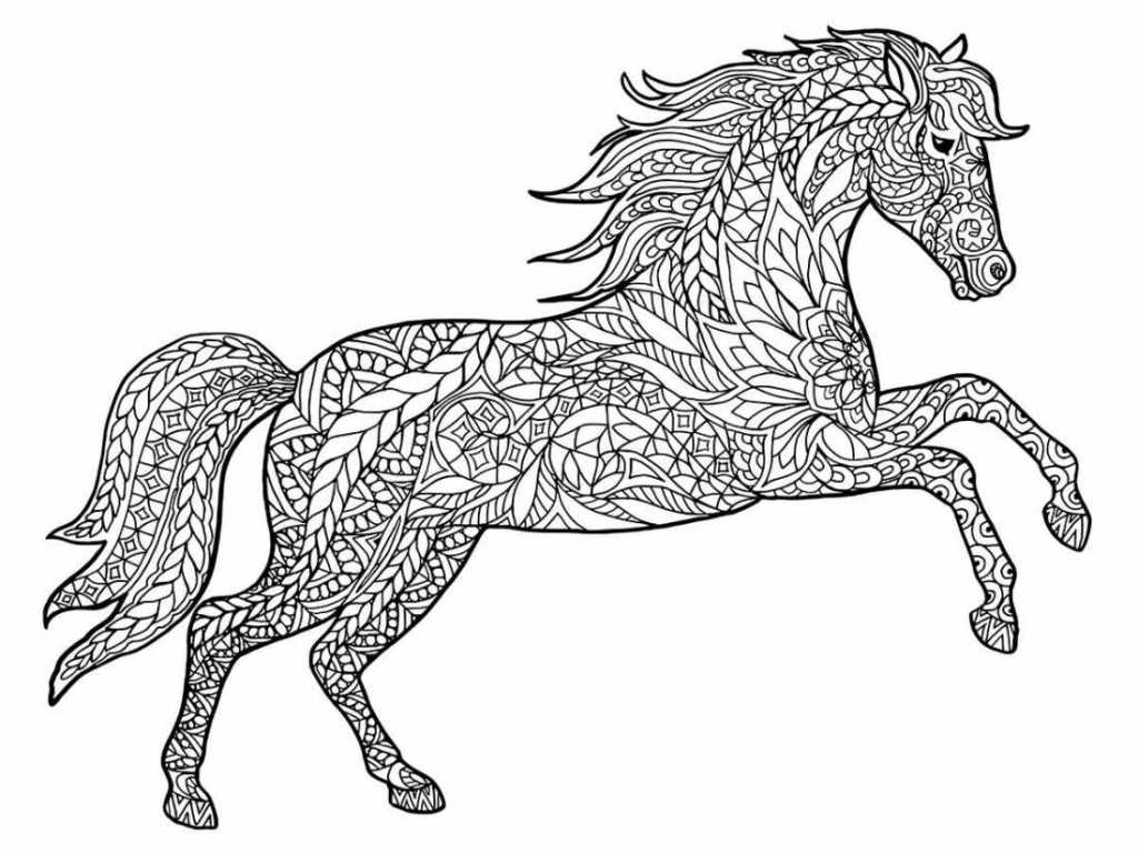 20 Desenhos de Cavalos para Colorir/Pintar ()