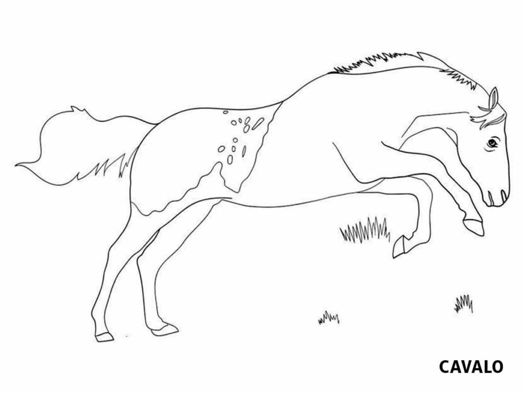 desenhos para colorir de cavalos selvagens