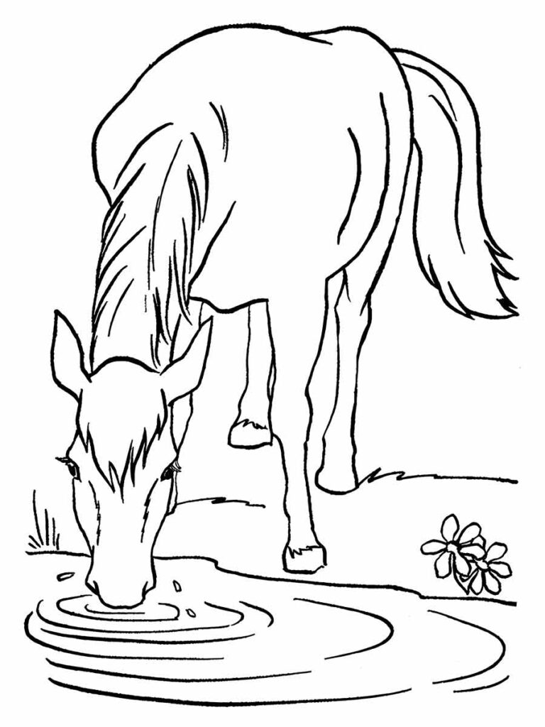 desenho de cavalo bebendo agua para colorir