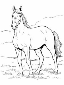 desenho de cavalo para imprimir e colorir