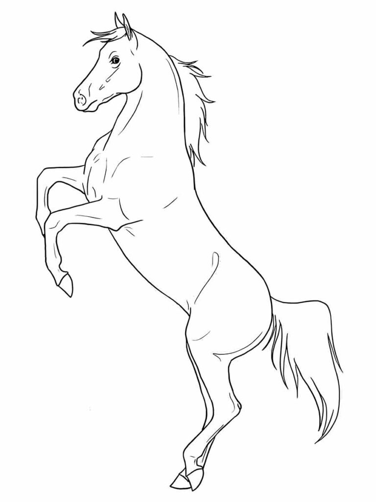 desenho de cavalo para colorir 70