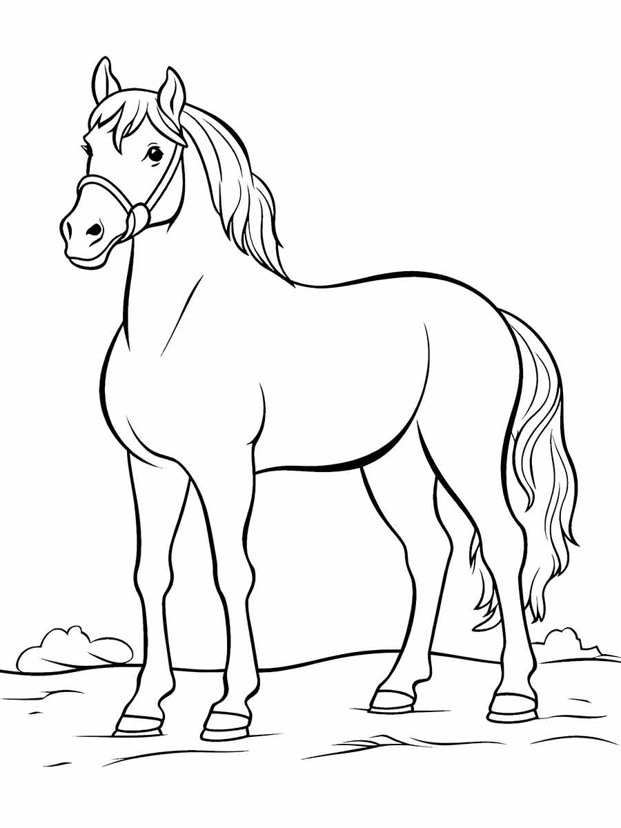 cavalo para colorir