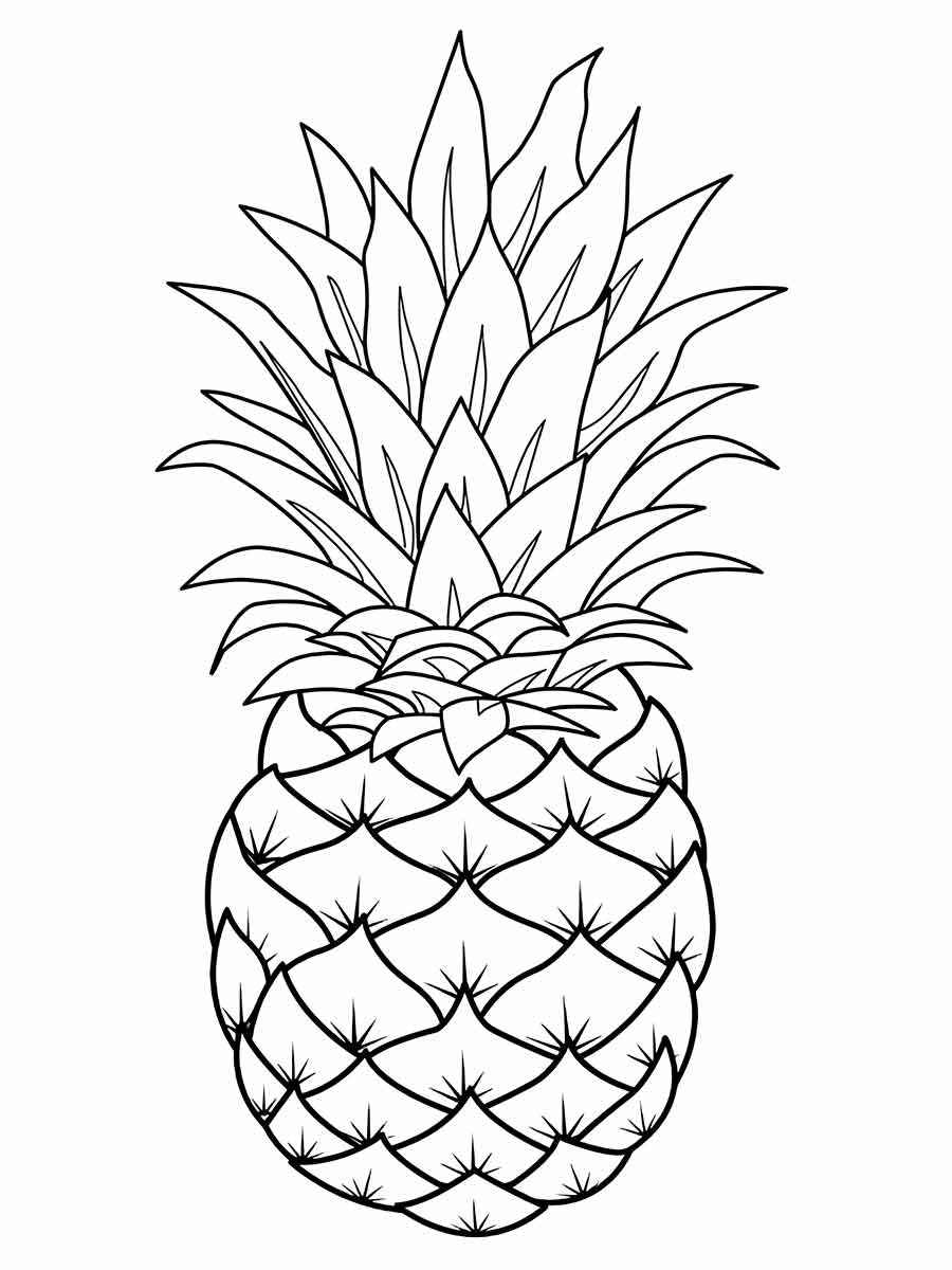 Desenho de abacaxi para colorir e pintar, uma fruta exótica, com uma coroa espinhosa e um corpo texturizado. É amarelo e doce, podendo chegar a até 30 centímetros de comprimento e pesar até 4 quilos. Pode ser consumido fresco ou em sucos, bolos, saladas e doces. O abacaxi é rico em vitamina C, bromelina e antioxidantes.