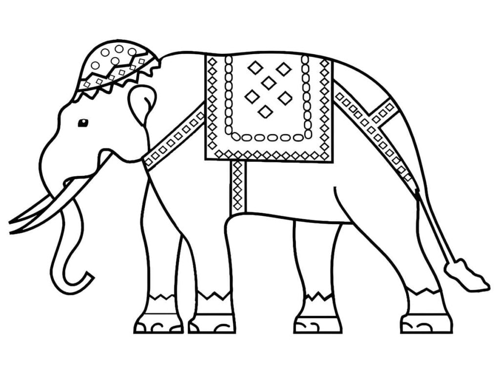 mandala elefante para colorir