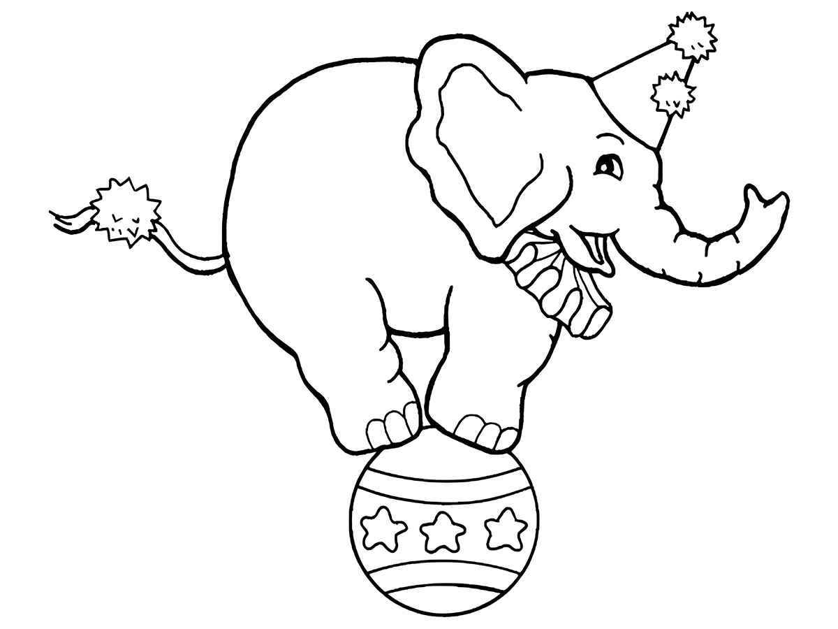 Desenho para colorir elefante de circo