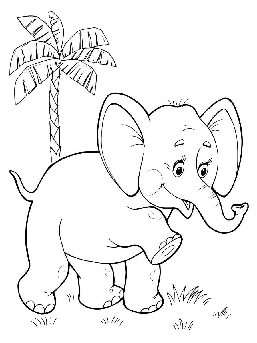 Desenho para pintar de elefante