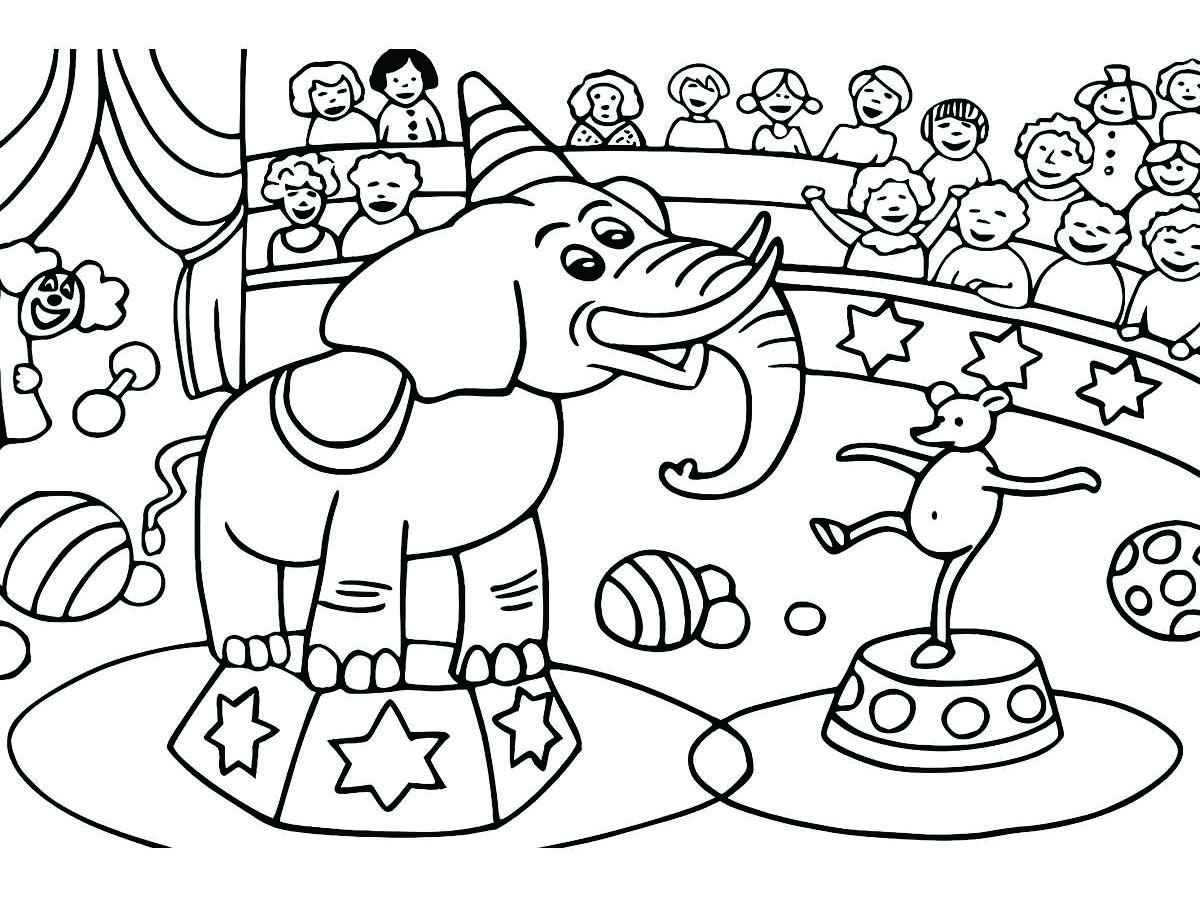 elefante de circo para colorir 83