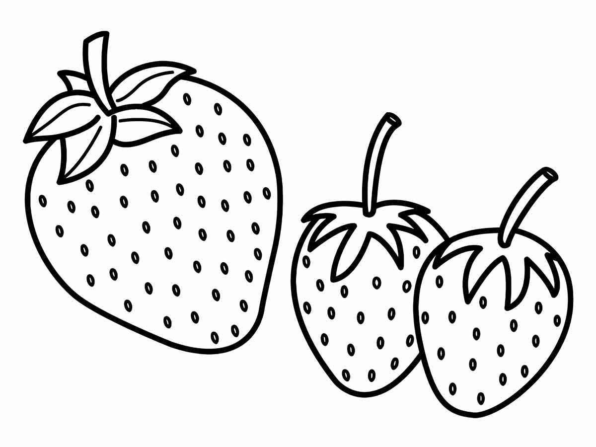 Desenho para colorir de morangos. As frutas vermelhas e doces crescem em plantas baixas. Têm sementes pretas na superfície e folhas verdes no topo. São ricos em vitamina C e antioxidantes, e podem ser usados para fazer sucos, geleias, bolos e sorvetes.