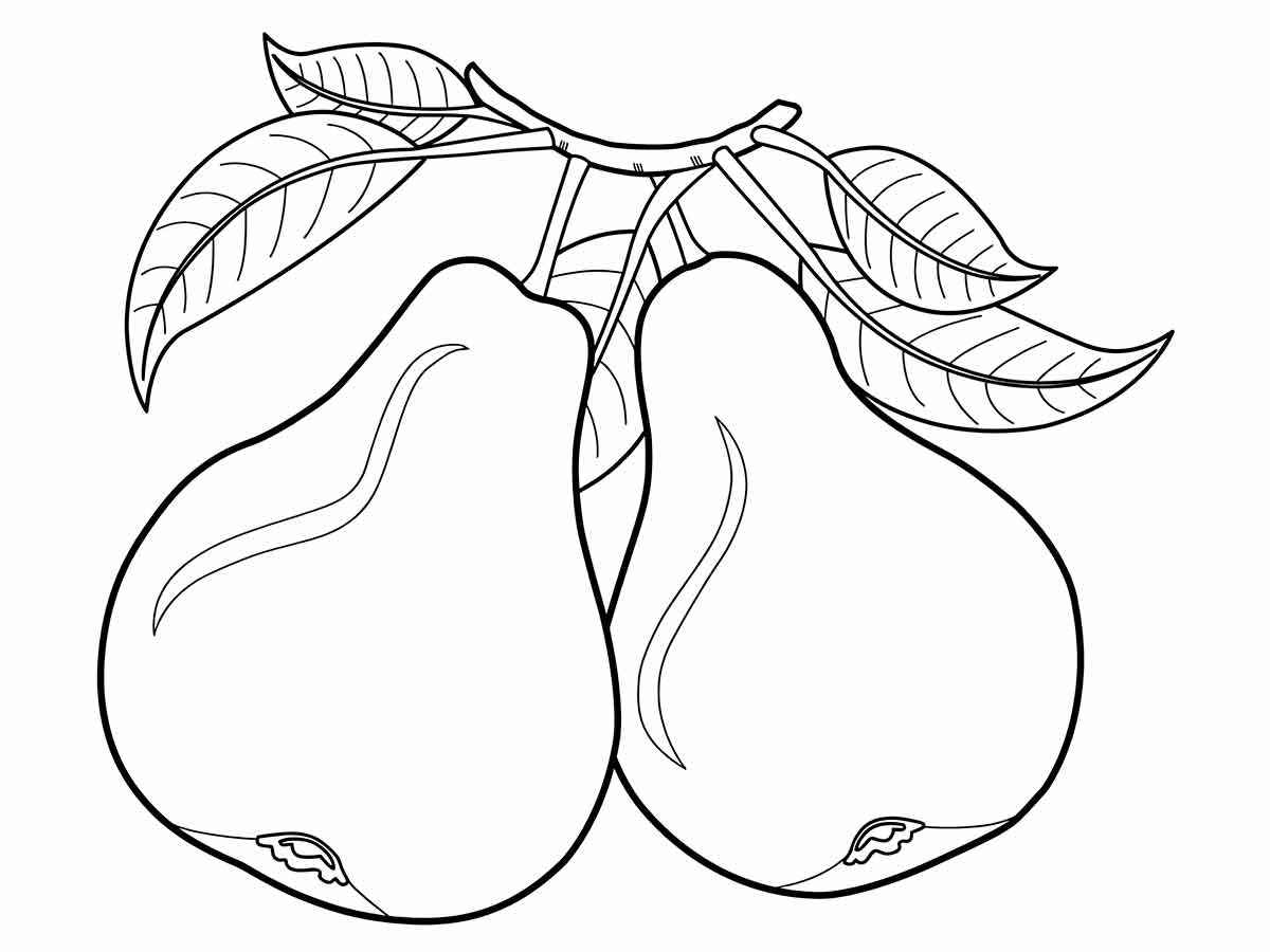 Desenho para colorir de duas peras. Uma fruta comestível que tem uma forma oval ou piriforme. É rica em fibras, vitaminas e antioxidantes. Pode ter diferentes cores, como verde, amarela, vermelha ou marrom. É popular em muitas culturas e pode ser consumida fresca, cozida, assada, em conserva ou em sucos.