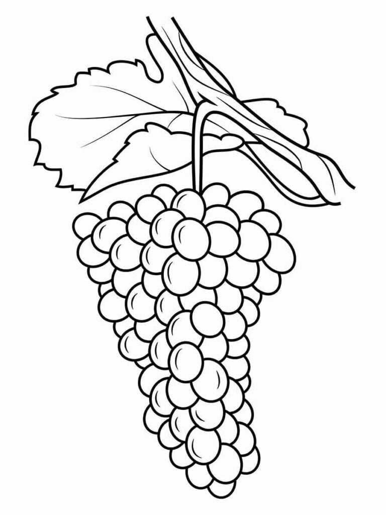 Desenho de Uvas para colorir e imprimir