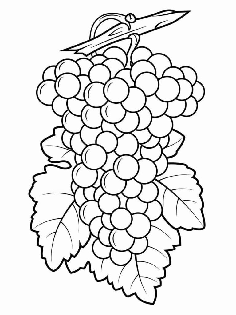 Desenho de Uvas para colorir e pintar