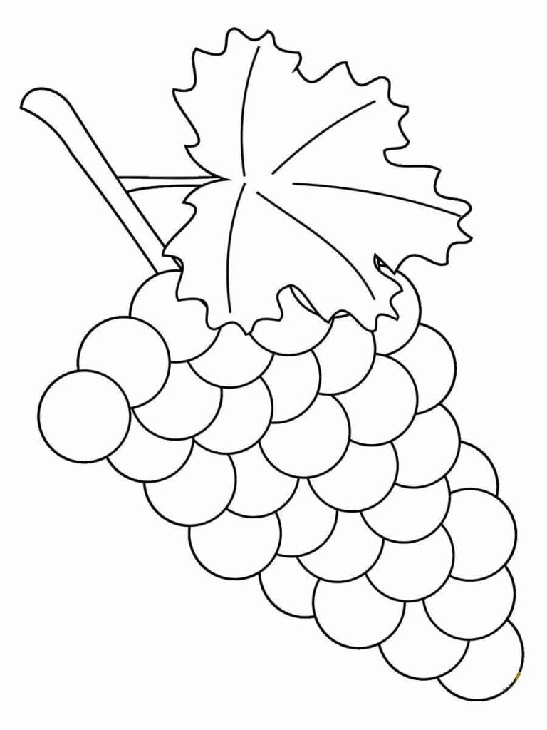 Desenho de Uvas para pintar e imprimir