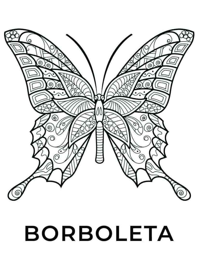 borboleta para colorir para adultos